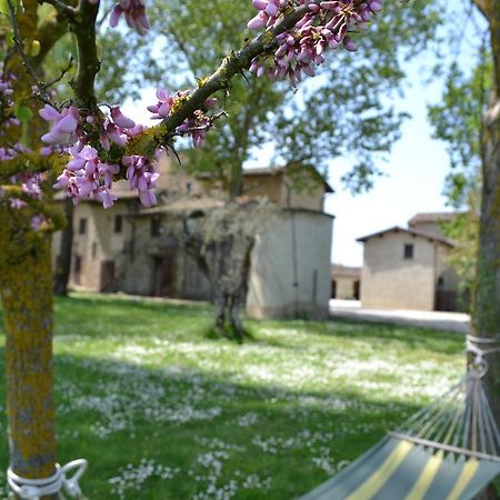 Agriturismo Nestore Exterior photo