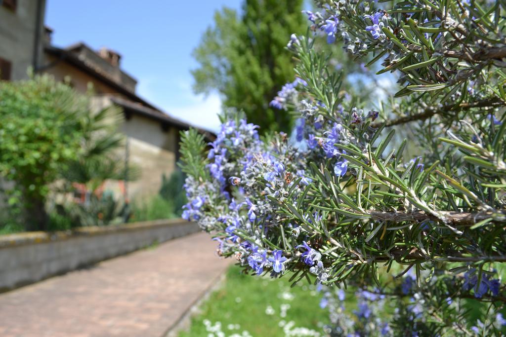 Agriturismo Nestore Exterior photo