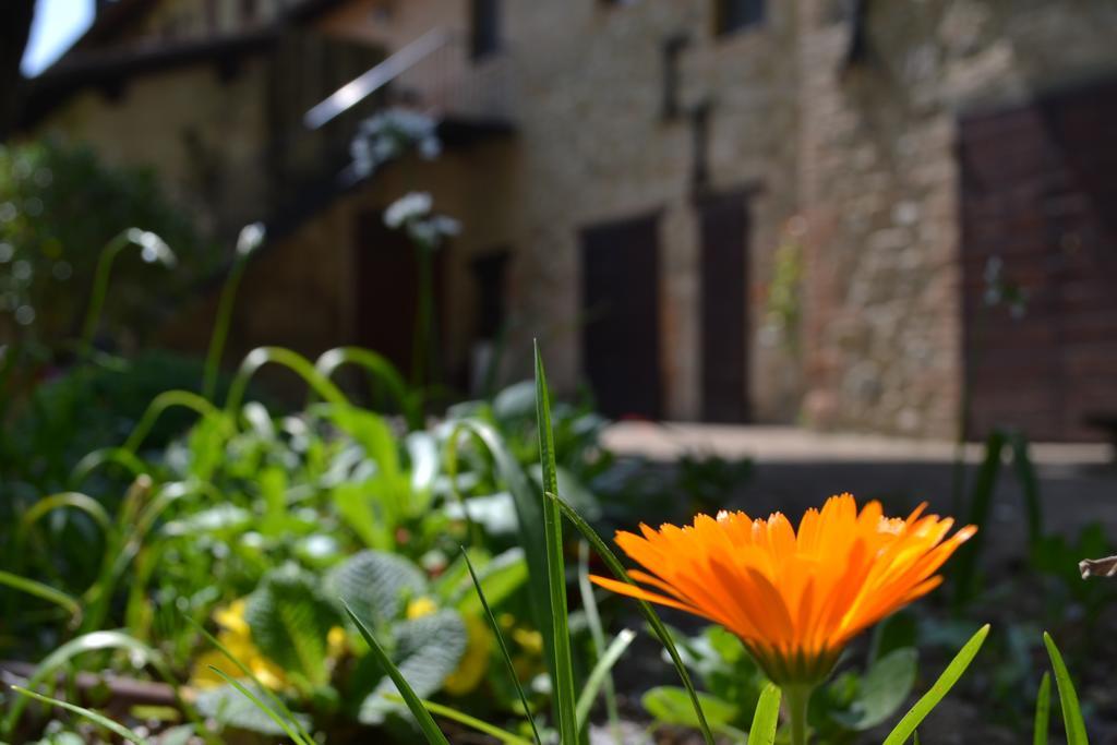 Agriturismo Nestore Exterior photo