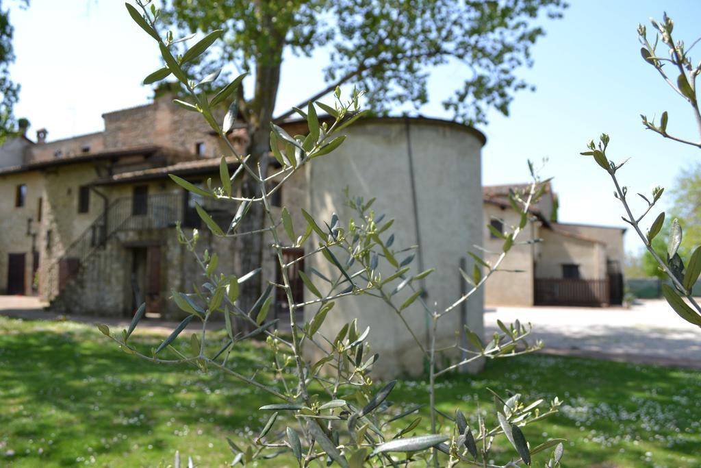 Agriturismo Nestore Exterior photo